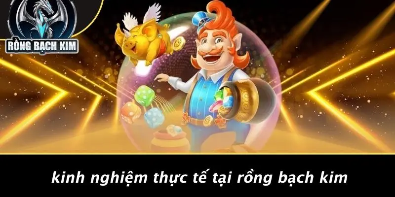 MƠ CÂU LƯƠN: KHÁM PHÁ BÍ ẨN GIẤC MƠ TẠI CASINO RỒNG Kinh Nghiệm Thực Tế Tại Rồng Bạch Kim