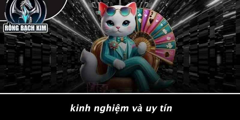 TẠO DÀN ĐỀ: CHIẾN LƯỢC CASINO ĐỈNH CAO CÙNG RỒNG BẠCH KIM Kinh Nghiệm Và Uy Tín