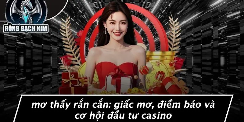 MƠ THẤY RẮN CẮN: GIẤC MƠ, ĐIỀM BÁO VÀ CƠ HỘI ĐẦU TƯ CASINO