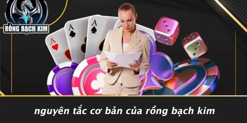 Nguyên Tắc Cơ Bản Của Rồng Bạch Kim