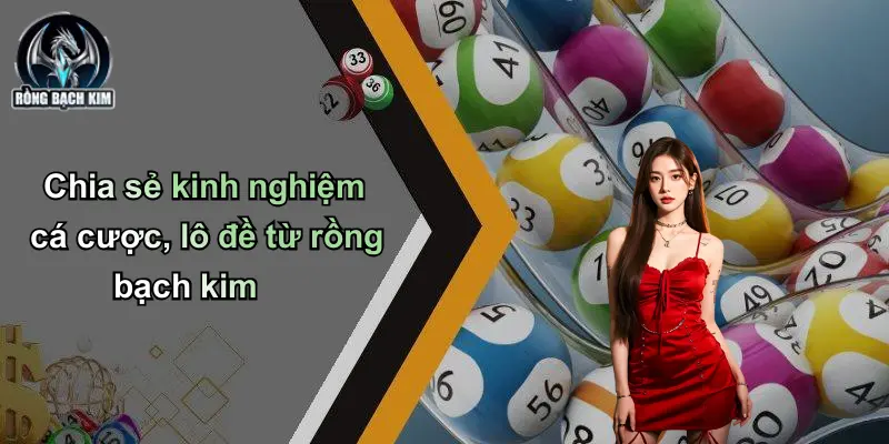 Chia sẻ kinh nghiệm cá cược, lô đề từ rồng bạch kim