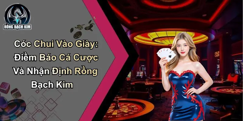 Cóc Chui Vào Giày: Điềm Báo Và Nhận Định Rồng Bạch Kim