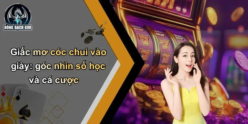 Giấc mơ cóc chui vào giày: góc nhìn số học và cá cược