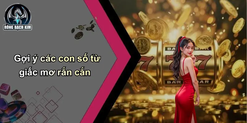 Gợi ý các con số từ giấc mơ rắn cắn