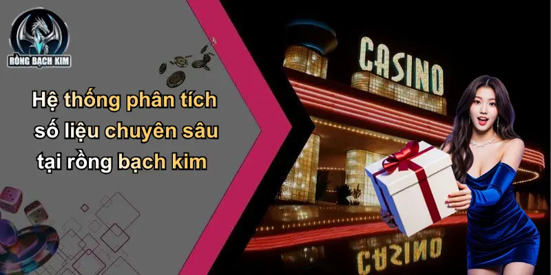 Hệ thống phân tích số liệu chuyên sâu tại rồng bạch kim