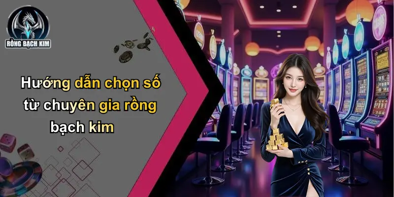 Hướng dẫn chọn số từ chuyên gia rồng bạch kim
