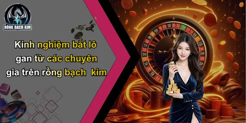 Lô Gan: Bí Kíp Phân Tích, Dự Đoán Và Bắt Số Chuẩn Xác Kinh nghiệm bắt lô gan từ các chuyên gia trên rồng bạch kim