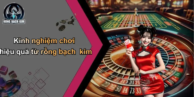Kinh nghiệm chơi hiệu quả từ rồng bạch kim