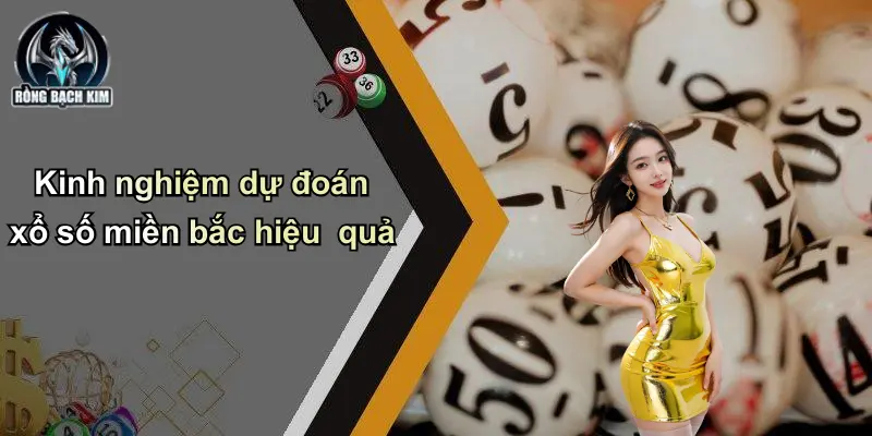 Kinh nghiệm dự đoán xổ số miền bắc hiệu quả