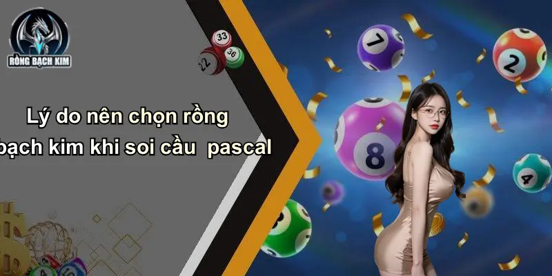 Lý do nên chọn rồng bạch kim khi soi cầu pascal