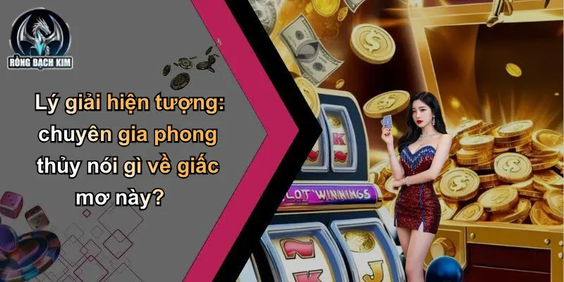 Lý giải hiện tượng: chuyên gia phong thủy nói gì về giấc mơ này?