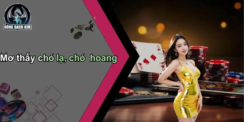 Mơ thấy chó lạ, chó hoang