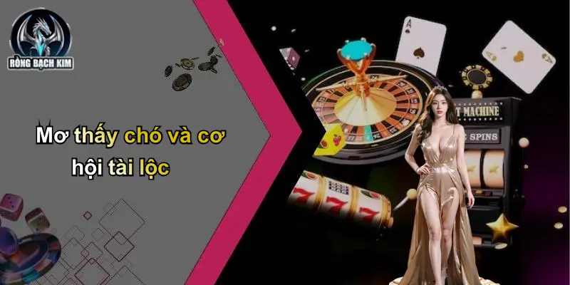 Mơ thấy chó và cơ hội tài lộc