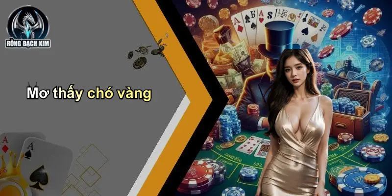 Mơ thấy chó vàng