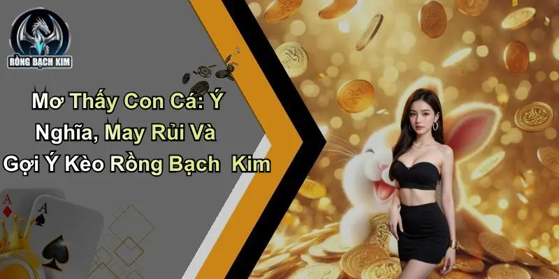 Mơ Thấy Con Cá: Ý Nghĩa, May Rủi Và Gợi Ý Kèo Rồng Bạch Kim