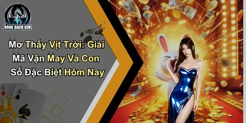 Mơ Thấy Vịt Trời: Giải Mã Vận May Và Con Số Đặc Biệt Hôm Nay