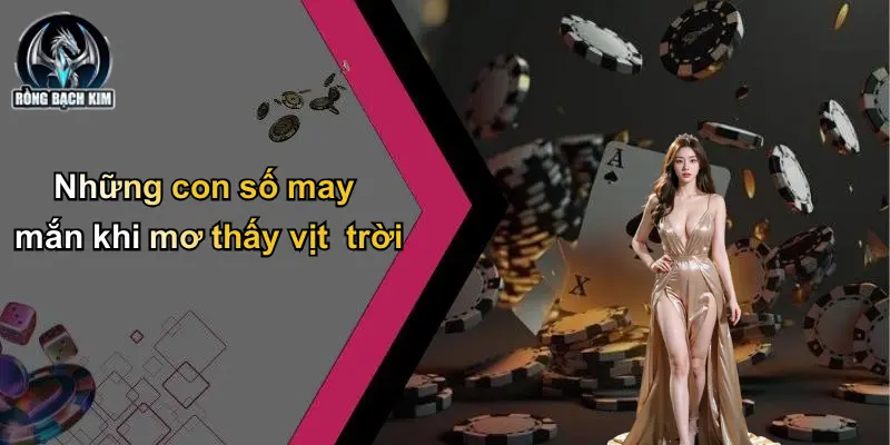 Những con số may mắn khi mơ thấy vịt trời