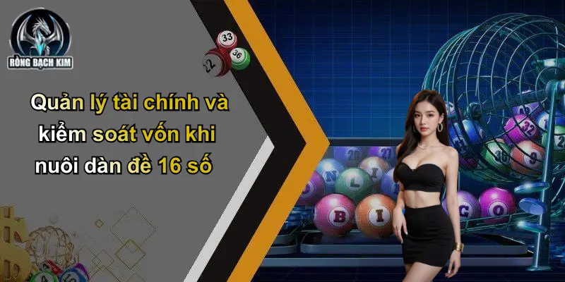 Quản lý tài chính và kiểm soát vốn khi nuôi dàn đề 16 số