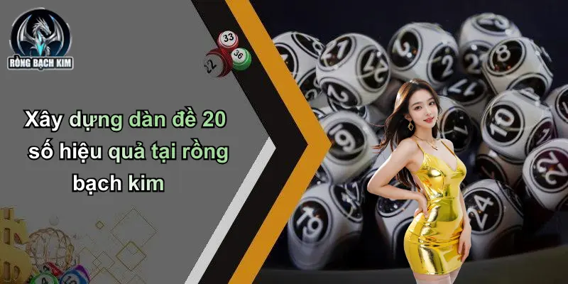 Xây dựng dàn đề 20 số hiệu quả tại rồng bạch kim
