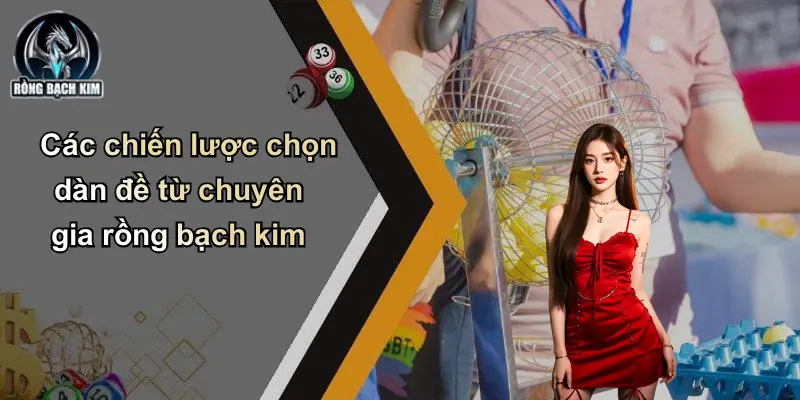 Các chiến lược chọn dàn đề từ chuyên gia rồng bạch kim