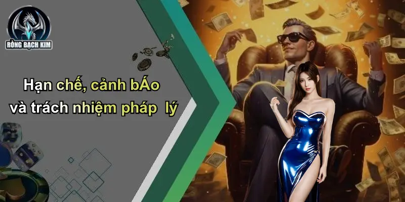Điều khoản điều kiện Hạn chế, cảnh báo và trách nhiệm pháp lý
