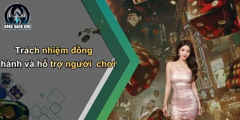 Chính sách bảo mật Trách nhiệm đồng hành và hỗ trợ người chơi