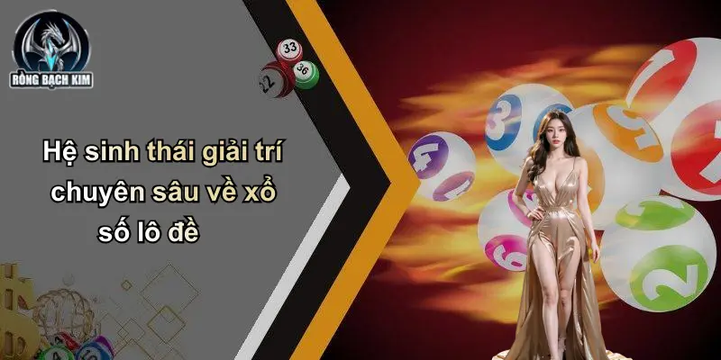 Hệ sinh thái giải trí chuyên sâu về xổ số lô đề