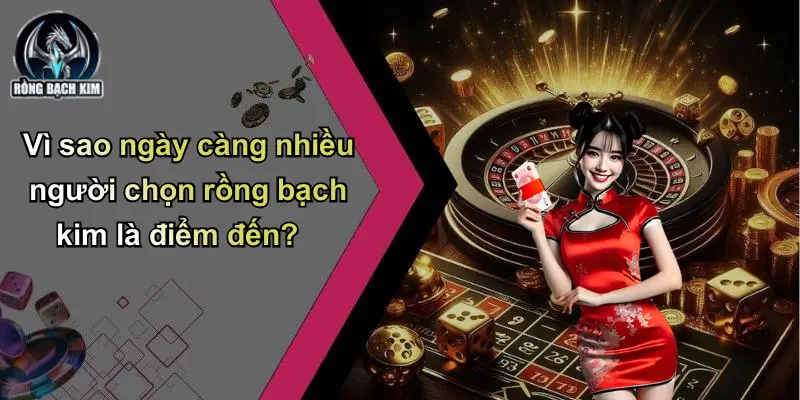Vì sao ngày càng nhiều người chọn rồng bạch kim là điểm đến?